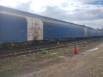 CPS FLT-034703-5